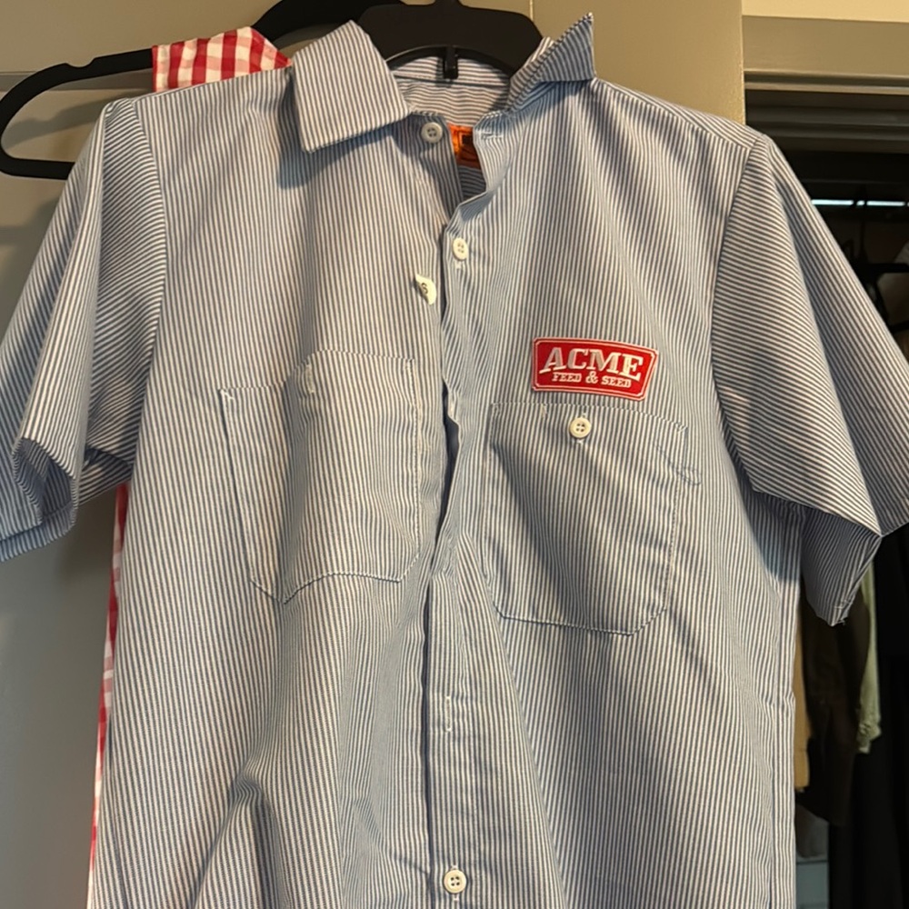 NEW ACME Blue Striped womens Shirt